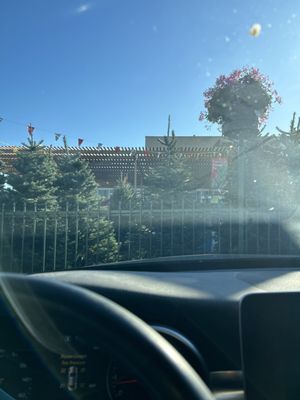 Armstrong Garden Centers by null