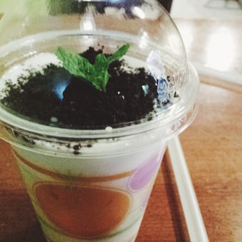 Sushi Secrets - Potted plant green tea. - Japanese Near Me - Berkeley, California