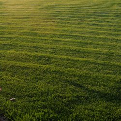 Ag-Pro - Scalloped lawn.  I asked them to level the deck.   They SAID they did.  Unbelievable.  Never again.