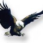 Photo of Eagle Real Estate and Property Management