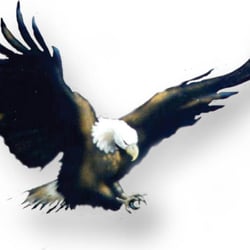 Eagle Real Estate and Property Management - Eagle Real Estate and Property Management
