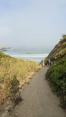 Sand Dollar Beach by null