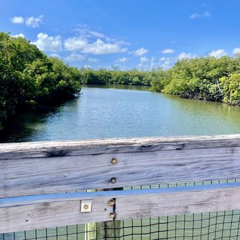 Von D. Mizell and Eula Johnson State Park - One of the small waterways on the way from parking lot to the beach, great for fishing, kayaking, paddle boarding or just enjoying the view - Parks Near Me - Dania, Florida