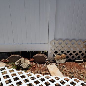 Mr. Alone Services - Big openings under fence where pets can crawl in & out - Tree Services Near Me Mr. Alone Services - Big openings under fence where pets can crawl in & out - Tree Services Near Me