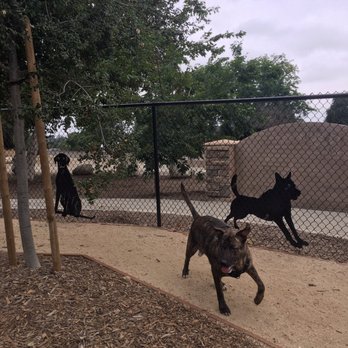 South Hills Dog Park - Dog Parks Near Me - Glendora, California South Hills Dog Park - Dog Parks Near Me - Glendora, California