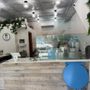 Sea Cliff Shave Ice