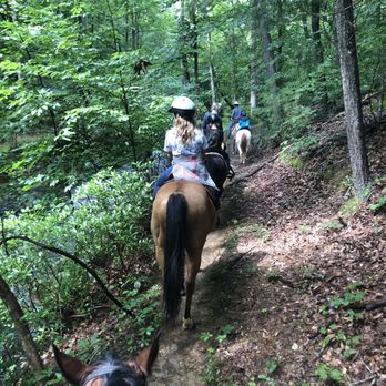 Bent Tree Stables & Equestrian Center - Trail - Horseback Riding Near Me - Jasper, Georgia