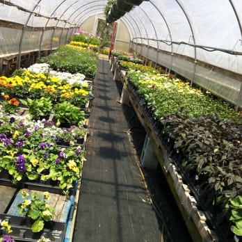 Robert Treat Farm - Fruits & Veggies Near Me - Milford, Connecticut