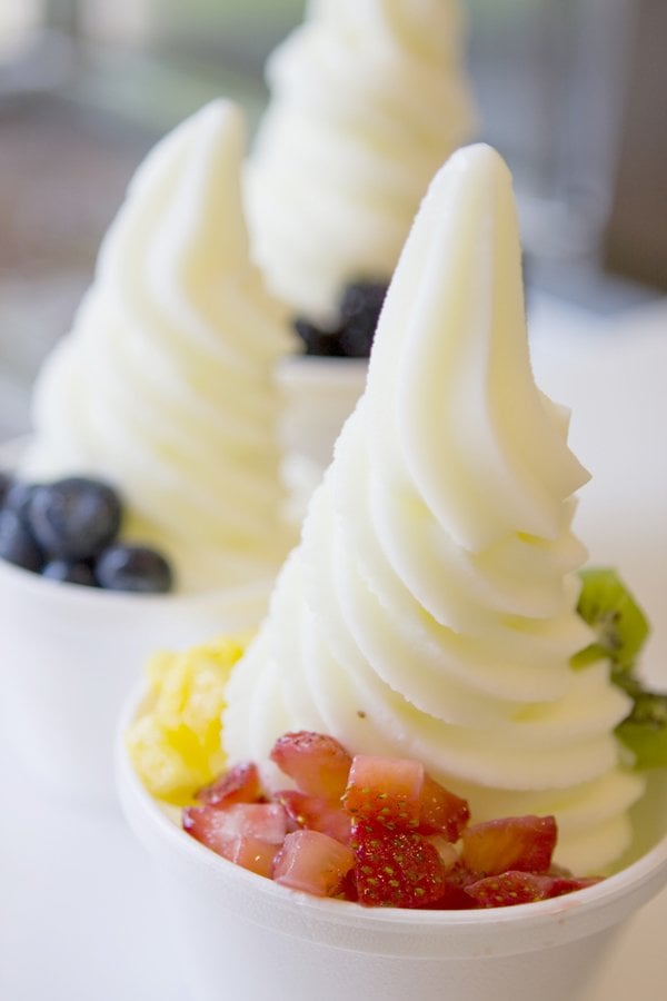 YOGURT AT ITS BEST CLOSED Ice Cream & Frozen Yogurt 42106