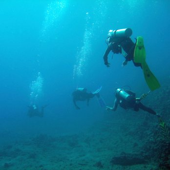 Island Divers - Scuba Diving Near Me - Honolulu, Hawaii Island Divers - Scuba Diving Near Me - Honolulu, Hawaii