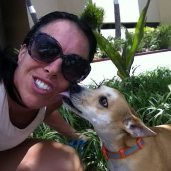 Dogs for Humanity - Seriously, the photos of their adventures while I'm at work absolutely make my day!!! - Dog Walkers Near Me
