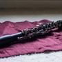 Photo of Pereira 3D Clarinet Services