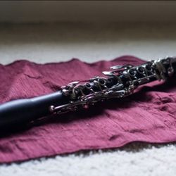 Pereira 3D Clarinet Services