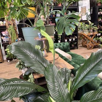 Charlee Rose Coffee - Coffee & Tea Near Me - Gilbert, Arizona