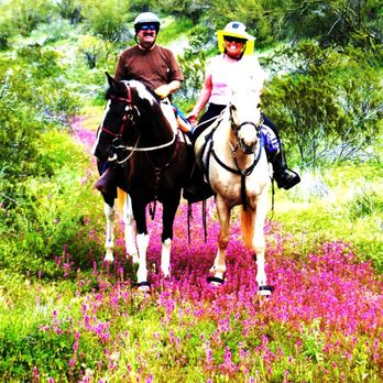 Nashwa Farms - We made it to our ride after a layover at Nashwa Farms. - Horse Boarding Near Me - Camp Verde, Arizona Nashwa Farms - We made it to our ride after a layover at Nashwa Farms. - Horse Boarding Near Me - Camp Verde, Arizona