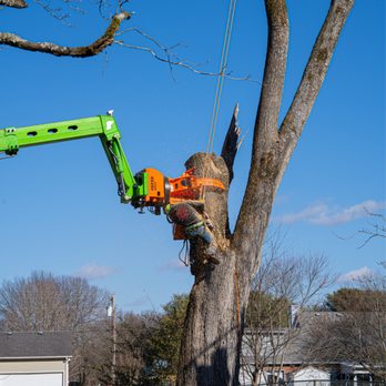 JB Tree Service - Tree Services Near Me - La Vergne, Tennessee JB Tree Service - Tree Services Near Me - La Vergne, Tennessee