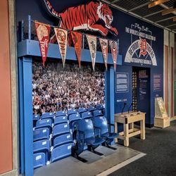 Grand Rapids Public Museum - Tigers Display at Grand Rapids Public Museum