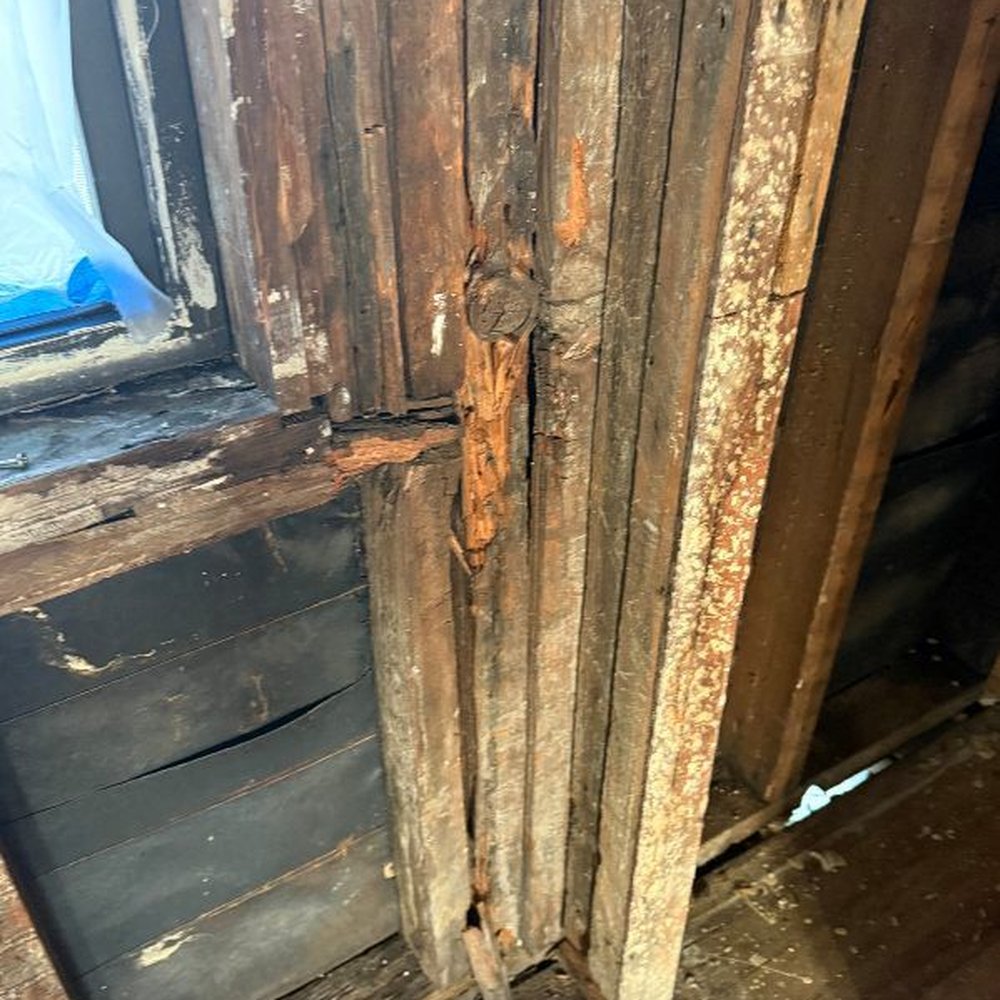 Robledo’s General Construction - Damaged wood thru out. - General Contractors Near Me - Long Beach , California Robledo’s General Construction - Damaged wood thru out. - General Contractors Near Me - Long Beach , California
