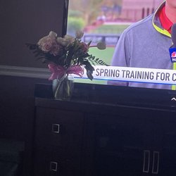Anna's Flowers