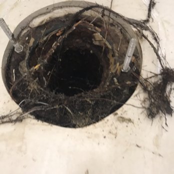 Roma Rooter - Tree roots growing inside toilet line from under the house. Having a sewer cleanout access is definitely necessary. - Plumbing Near Me Roma Rooter - Tree roots growing inside toilet line from under the house. Having a sewer cleanout access is definitely necessary. - Plumbing Near Me