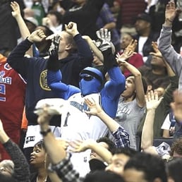Wizards! Wizards!