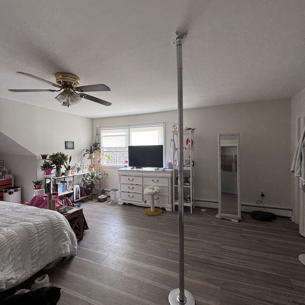 Dance pole