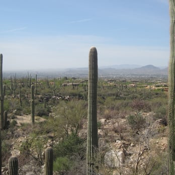 Pima Canyon Trail - Getting started - Hiking Near Me - Tucson, Arizona