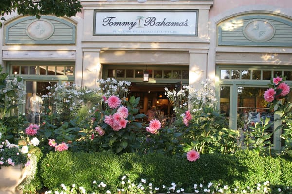 Stanford Shopping Center by null