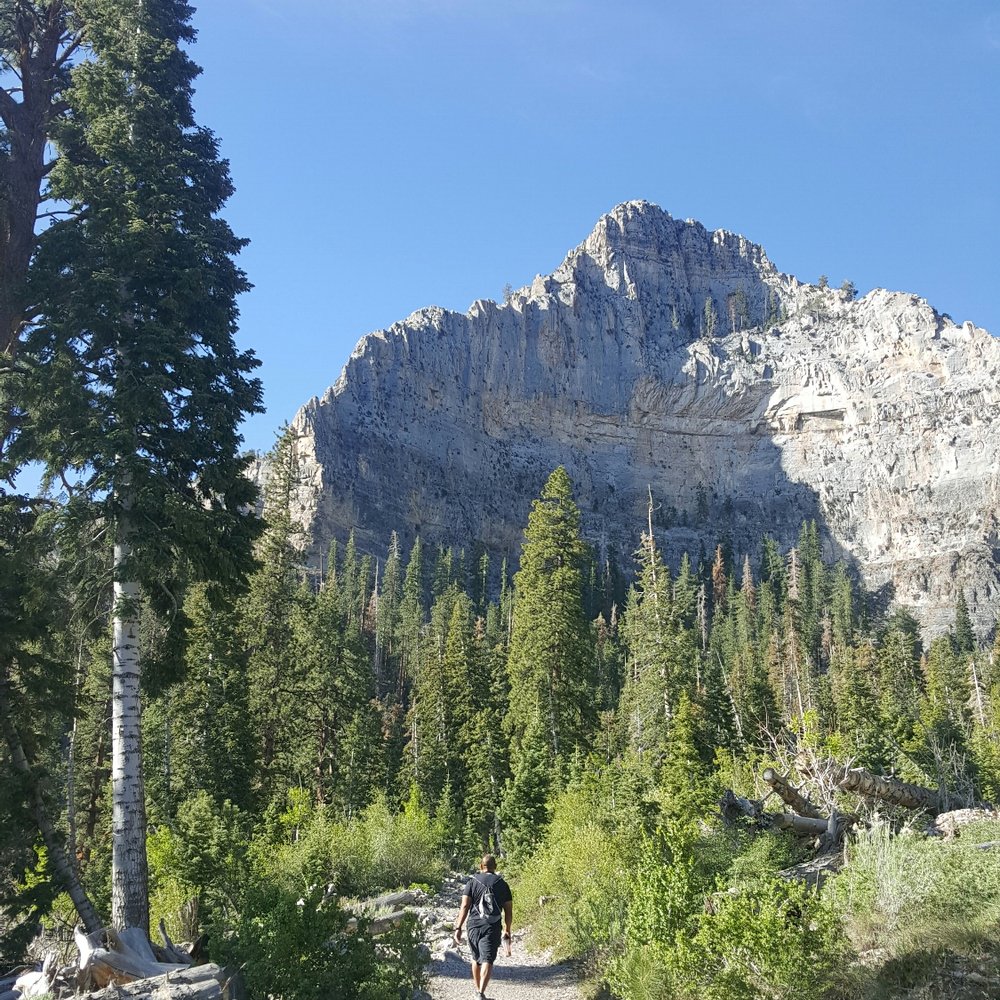 Cathedral Rock - Cardio - Hiking Near Me - Mt Charleston, Nevada