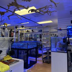 Fishy Business Aquariums & Supplies