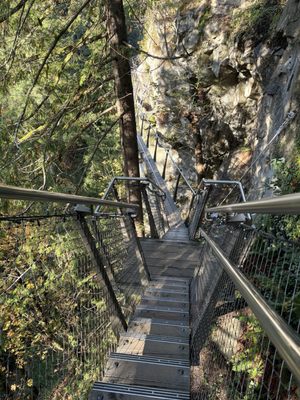 Capilano Suspension Bridge Park by null