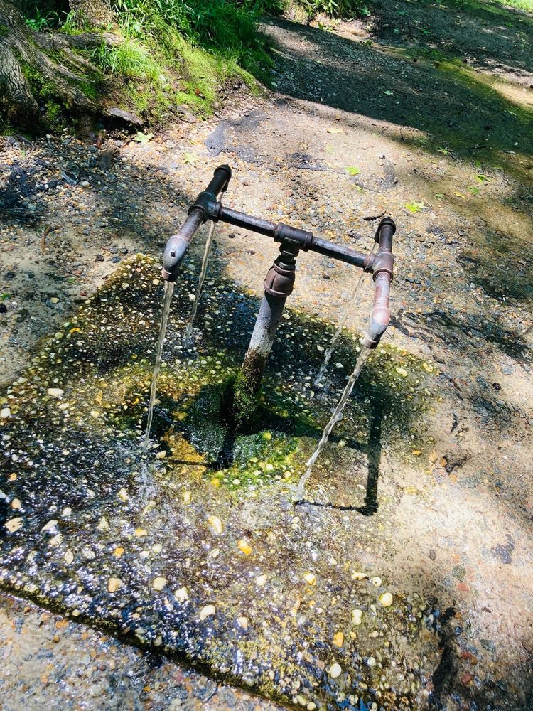 GODS ACRE HEALING SPRINGS 58 Photos & 12 Reviews Historical Tours