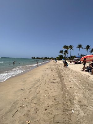 Carolina Public Beach by null