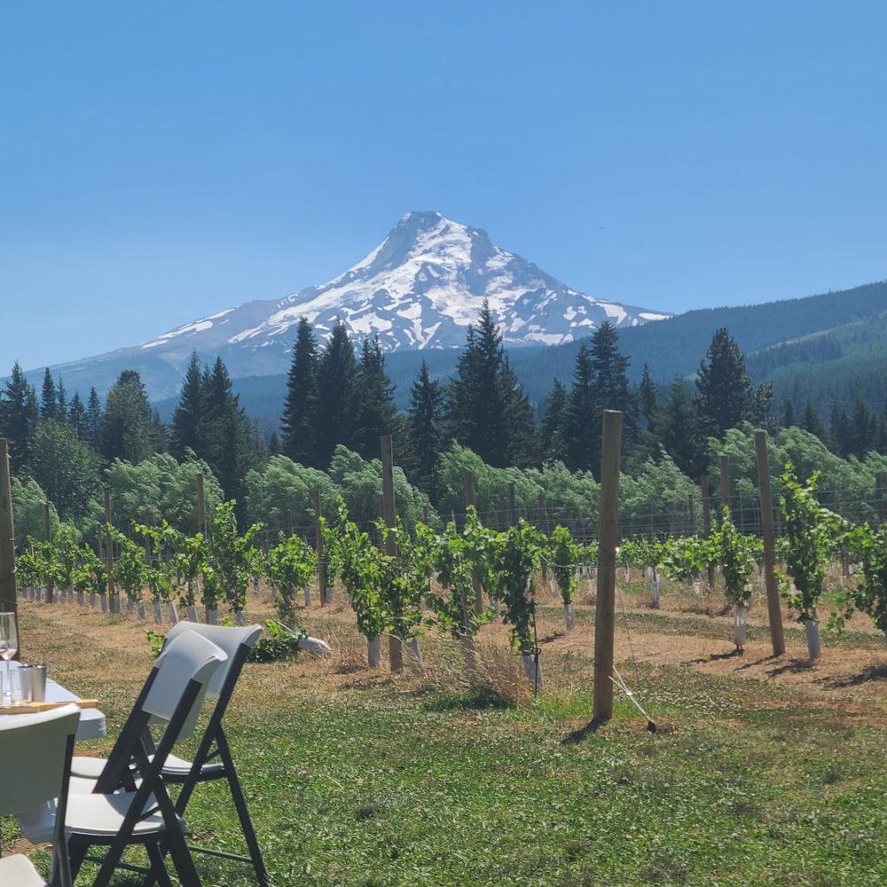 Grateful Vineyard - Beautiful view! Worth it! - Wine Tasting Room Near Me - Mount Hood, Oregon Grateful Vineyard - Beautiful view! Worth it! - Wine Tasting Room Near Me - Mount Hood, Oregon