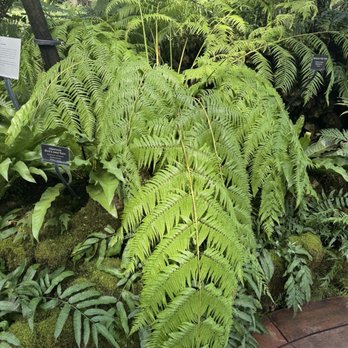Lincoln Park Conservatory - Parks Near Me - Chicago, Illinois