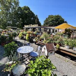 Dutch Valley Market