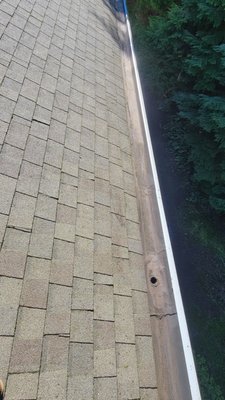 Roof & Gutter Cleaning Services - Feel free to request a quote today! Roof & Gutter Cleaning Services - Feel free to request a quote today!