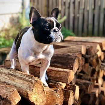 Capitol Hill Firewood - Charlie makes sure wood delivery is well stacked - Firewood Near Me