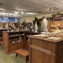 Hefner Museum of Natural History