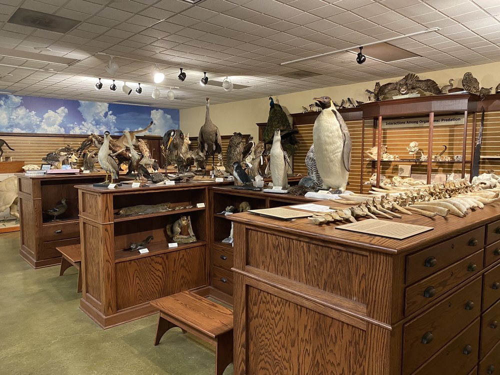 Social spots from Hefner Museum of Natural History