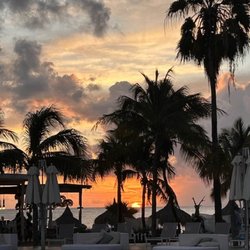 Traveling Bug Destinations