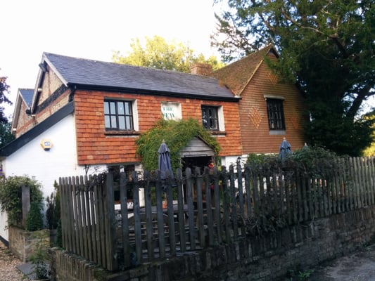 The Yew Tree by null