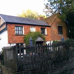 The Yew Tree