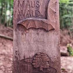 Mühlenteich - In den Wäldern am Mühlenteich (08/2018)