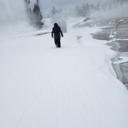 Yellowstone Adventures
