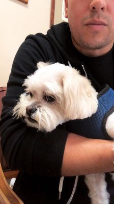 monrovia dog and cat hospital