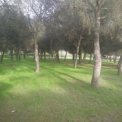Parque de Las Cruces