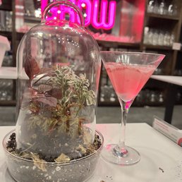 My "Belle" themed tropical terrarium with a glass of "Talk Planty to Me"