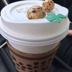 Blue Moose Coffee - Bam! The way coffee should be