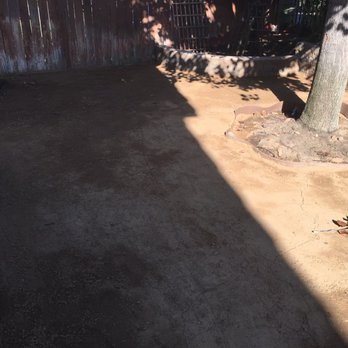 New Image Tree Care - Before...(other company) - Tree Services Near Me - Corona, California